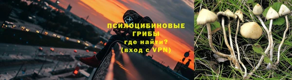соль курить ск Гусев