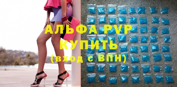прущие грибы Куйбышев