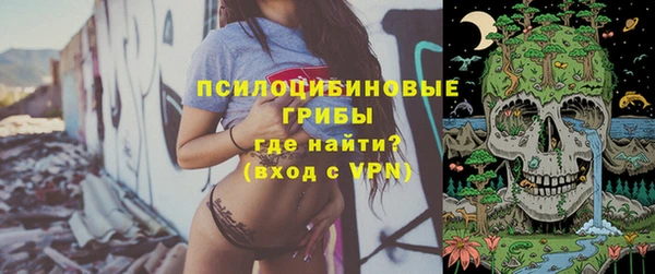 бутират Гусь-Хрустальный
