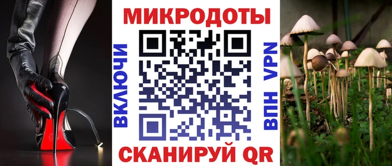 где купить наркотик  Томмот  Псилоцибиновые грибы MAGIC MUSHROOMS 